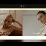 stiletto shopify theme nulled